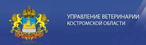Соцзащита кострома