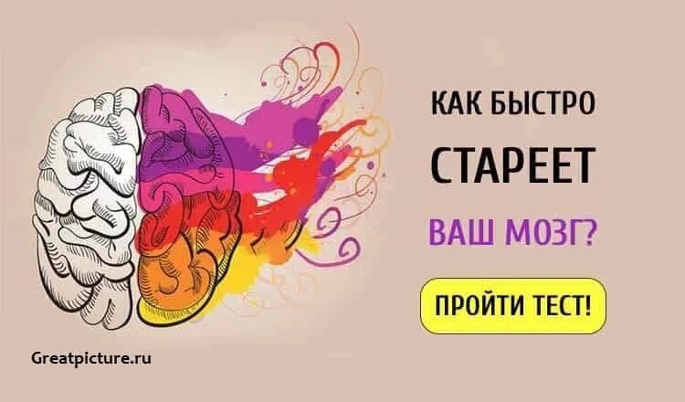 Мозг на японском. Тест на старение мозга. Тесты для мозга в картинках. Японский тест на старение мозга. Тест на старение мозга картинки.