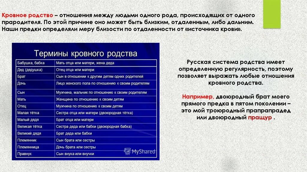 Близко родственные связи. Термины кровного родства. Термины родства в русском языке. Родственные связи кровные. Таблица терминов родства.