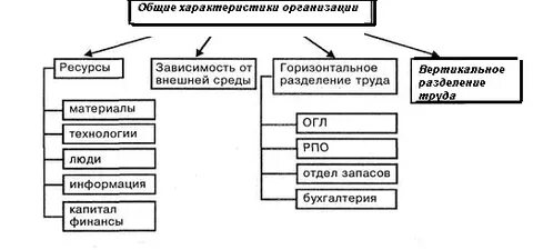 Общая характеристика организации и класса