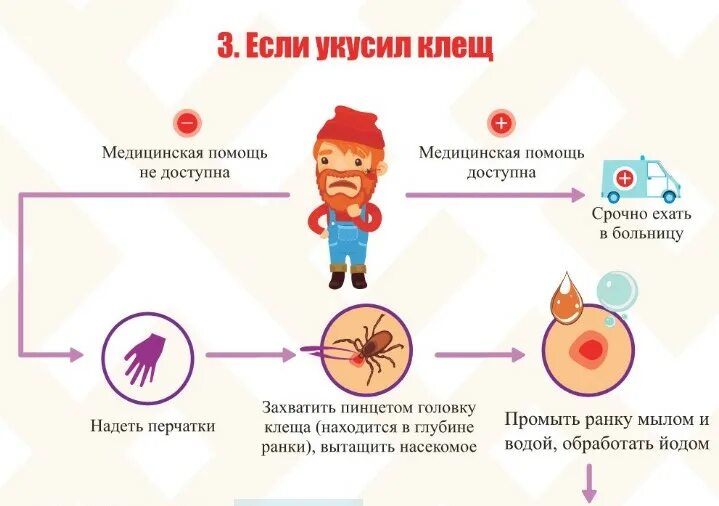 Лечение после укуса клеща у человека. Что делать если укусил клещ. Что делать при укусе клеща. Что делать еслиттебя укусил клещ.