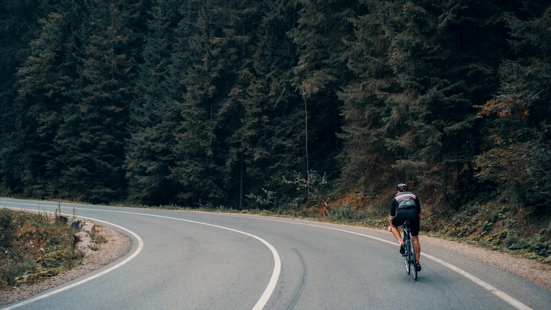 Start ride. Дорога в лесу велосипедист. Велосипед обои. Велосипед в лесу на дороге. Фон велосипедная дорога.