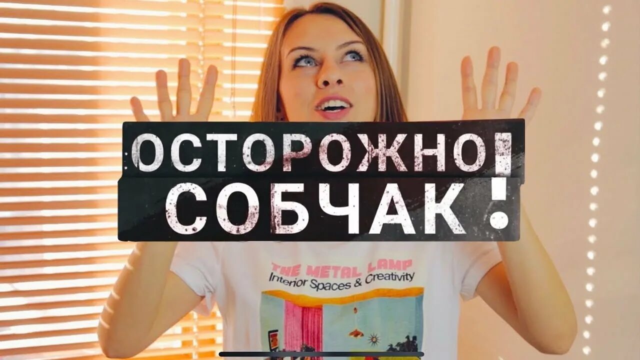 Осторожно собака. Собчак передача. Jcnjhj;yjcj,xfr. Jcnjhj;yjcj,xfr. Осторожно собчак галич.