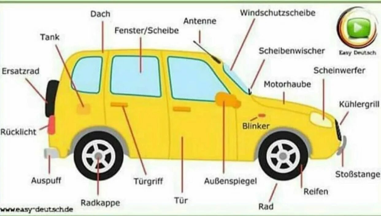 Как переводится auto