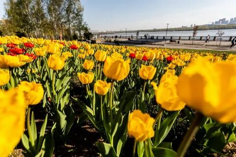 14 мая новосибирск