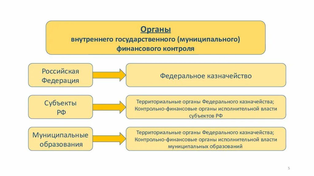 Органы внутреннего государственного муниципального финансового контроля
