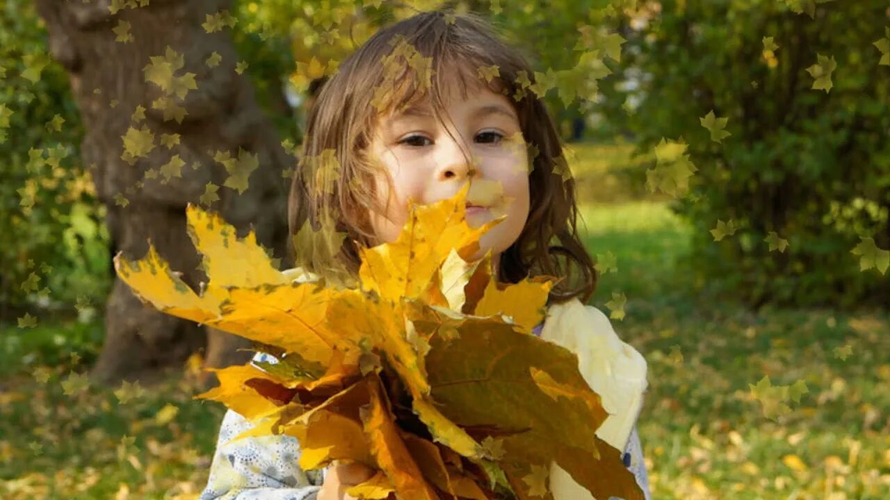 Листья для детей. Листочки для детей. Собирание осенних листьев. Осени листочки детские. Собрать осенние листья
