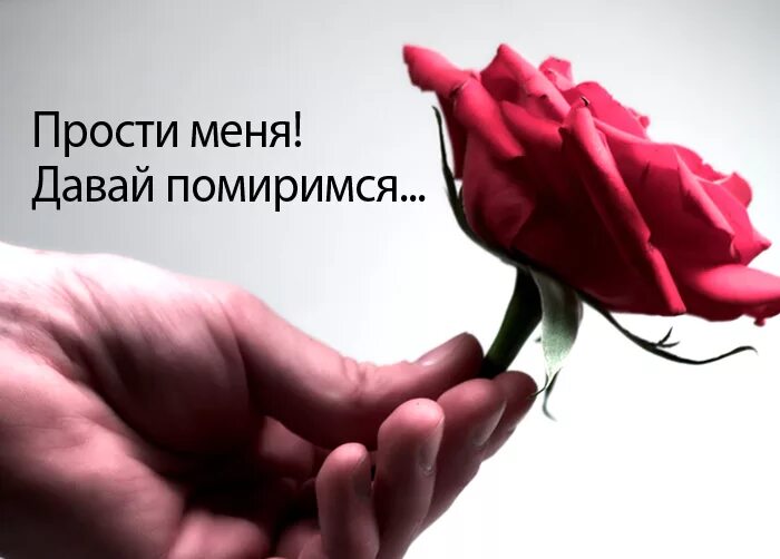 Извини цветы