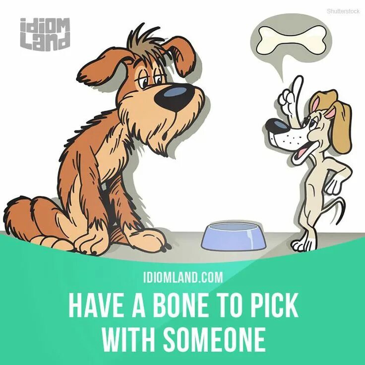 Have to pick one of. Have a bone to pick with. идиомы с pick. to the bone. have a long face идиома.