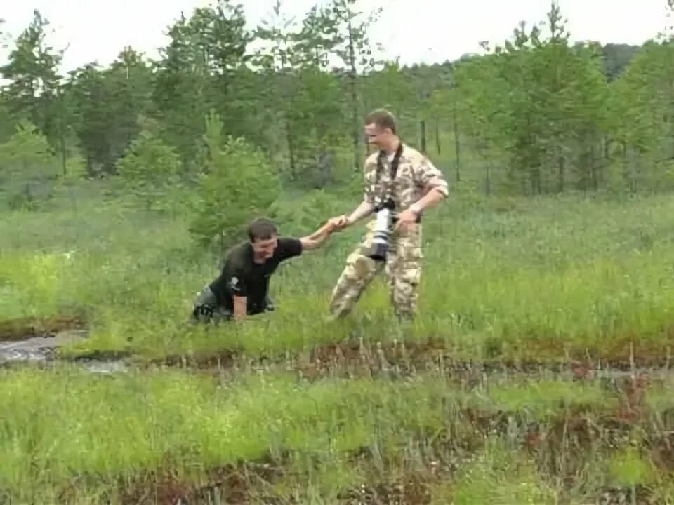 На болоте прыгать. Топкое болото.