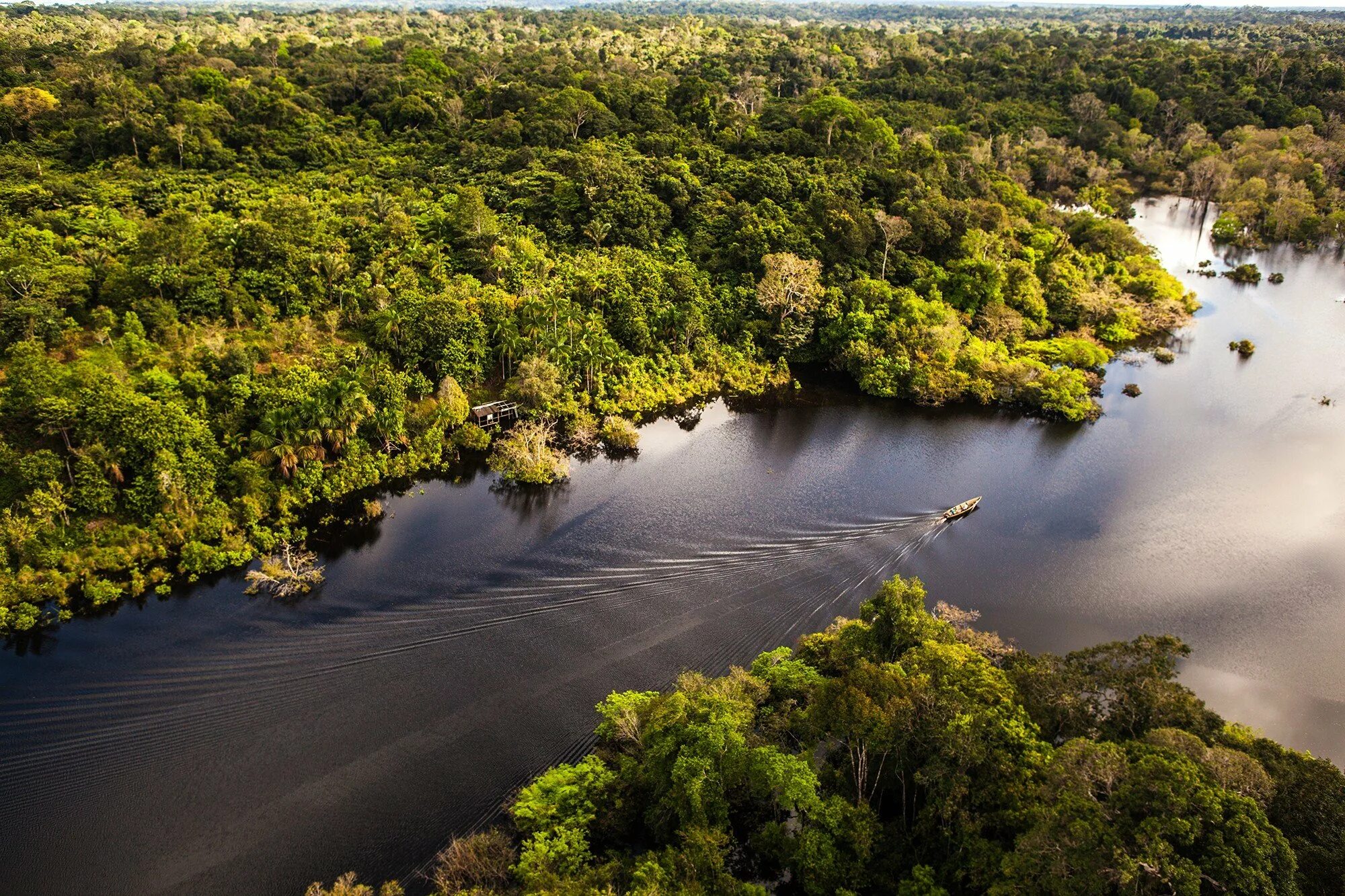 Река Амазонка в Бразилии. Манаус Бразилия Амазонка. Река Амазонка Манаус. Амазонка река Укаяли. Самая большая река в бразилии
