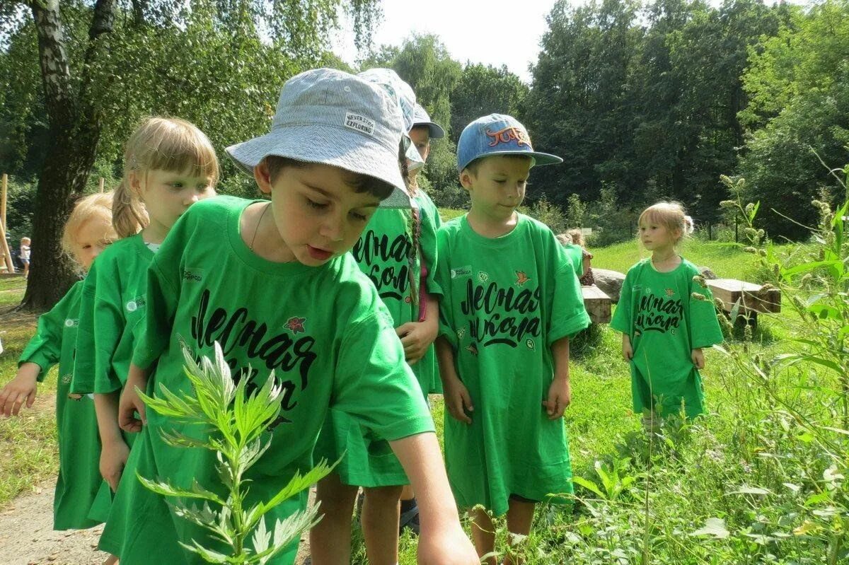 Дети на уроке биологии. Дети и природа. Дети на экскурсии на природе. Участие детей в экологическом. Детям об экологии.