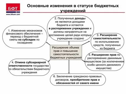 Коммерческая деятельность бюджетной организации