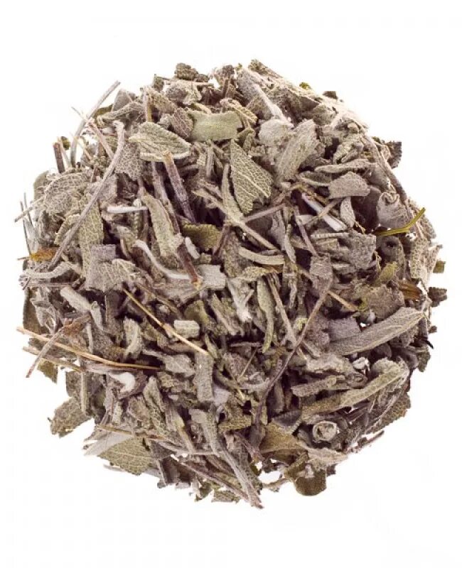 Листья шалфея сырье. Шалфей лекарственный трава сырье. Salvia officinalis сырье. Шалфей лекарственный сырье. Шалфей лекарственный сырье.