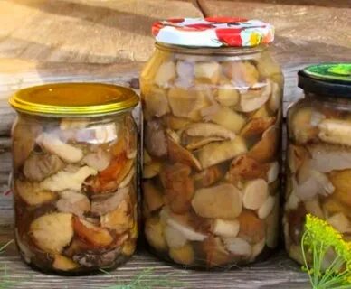 Маринуют ли белый гриб