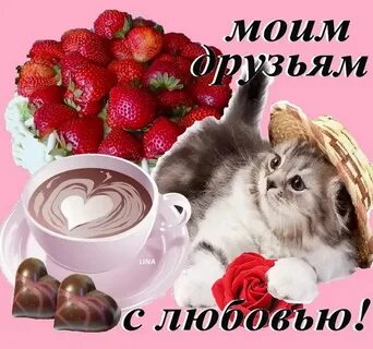 Добрый мой приятель