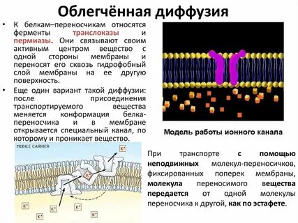 Путем диффузии