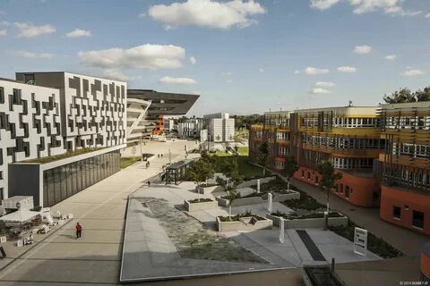 Urban university бесплатное обучение отзывы