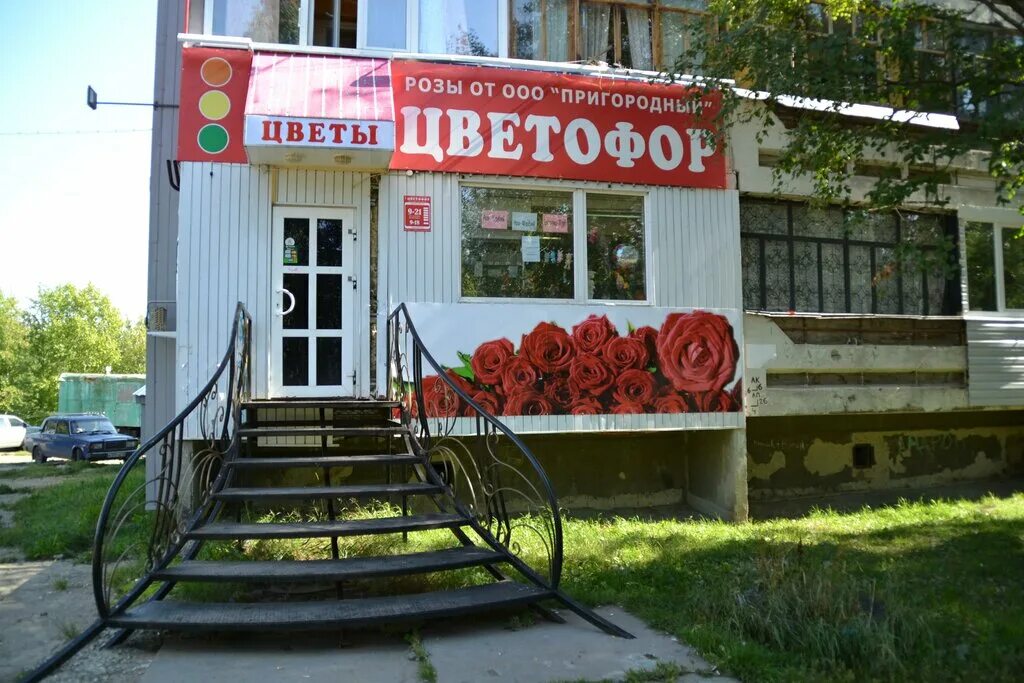 Магазин для художников сыктывкар свечка. Цветы эжва. Цветы эжва. Новотроицк цветники. Цветочный дворик новокузнецк.