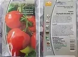 Лучшие сорта томатов 2025 форум. Лучшие сорта томатов 2025 форум