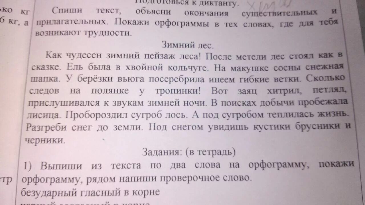 Поляну окончание слова. Диктант в лесу. Диктант зимний лес. Диктант зима 4 класс. Ночь в лесу диктант.