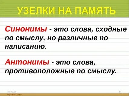 Теку синоним