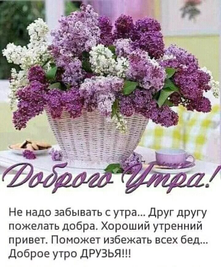 Доброго майского утра и прекрасного дня картинки