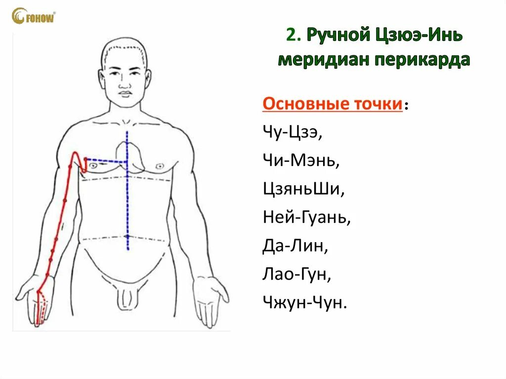 Главная точка. Меридиан перикарда в китайской медицине точки. Меридиан перикарда точка mc6. Точки канала перикарда. Меридиан перикарда точки расположения.