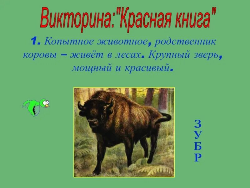 Как будто это зверь. Копытное животное родственник коровы живет в лесах крупный зверь. копытное животное родственник коровы. родственники коров. родственник коровы живет в лесах.