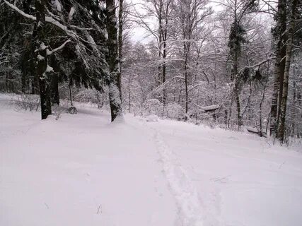 Январь 2011