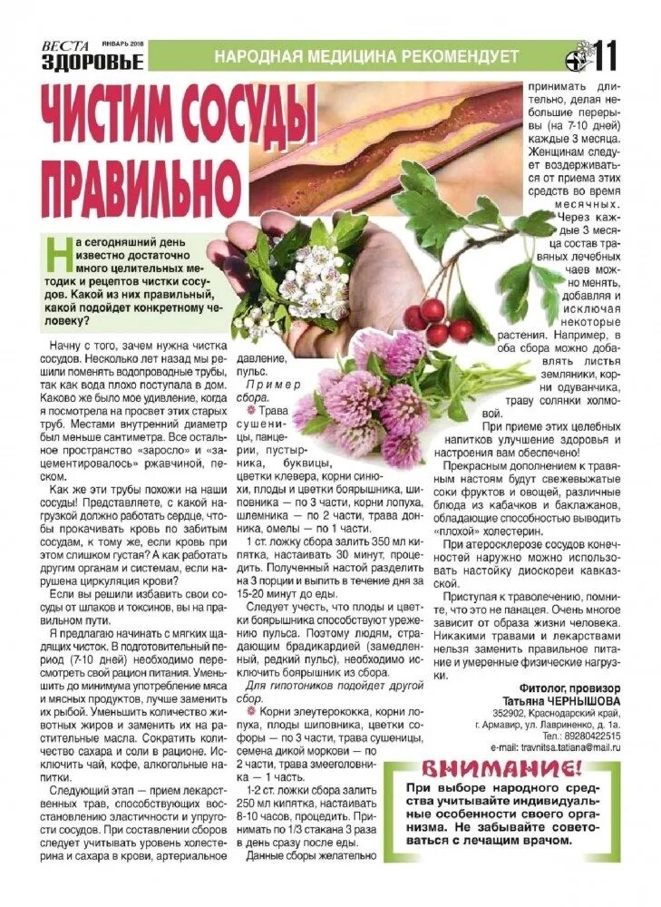 Народные методы чистки сосудов. Чистка сосудов народными средствами. Чистка сосудов народными средствами. Сосуды почистить народное. Рецепты для очищения сосудов.