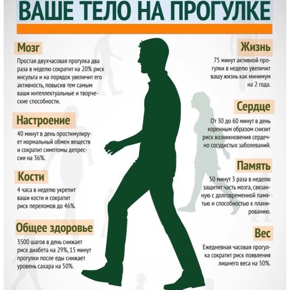 Полезны для вашего. Польза ходьбы пешком. ходьба полезна для здоровья. прогулки полезны для здоровья. пешие прогулки полезны для здоровья.