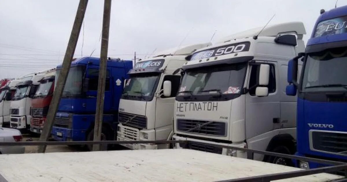 Дагестанские дальнобойщики. Дагестанские дальнобойщики. Дальнобойщики с дагестана на черных вольво. Протесты платон дагестана. Дагестанские дал.