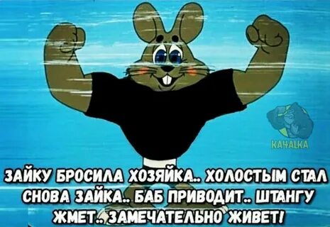 Зайку бросила