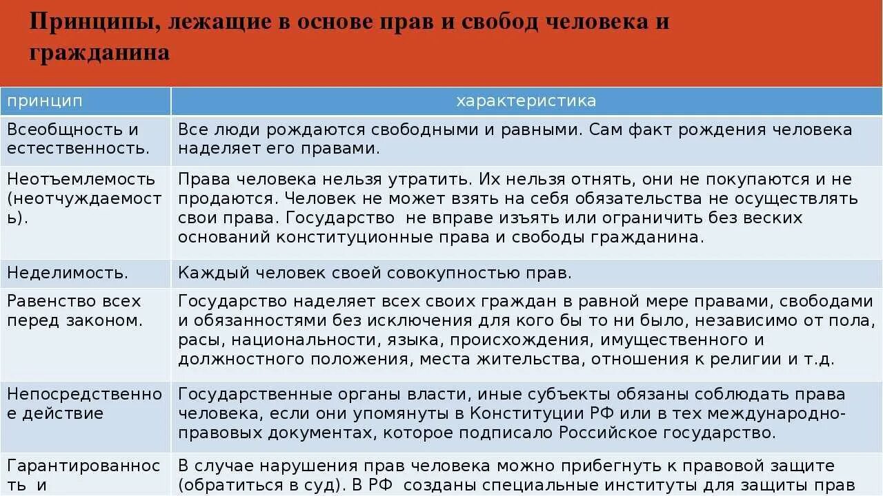 Принципы лежащие в основе прав и свобод человека и гражданина. Принципы прав человека и гражданина. Принципы обеспечения прав и свобод человека. Обеспечение защиты прав и свобод человека и гражданина принцип.