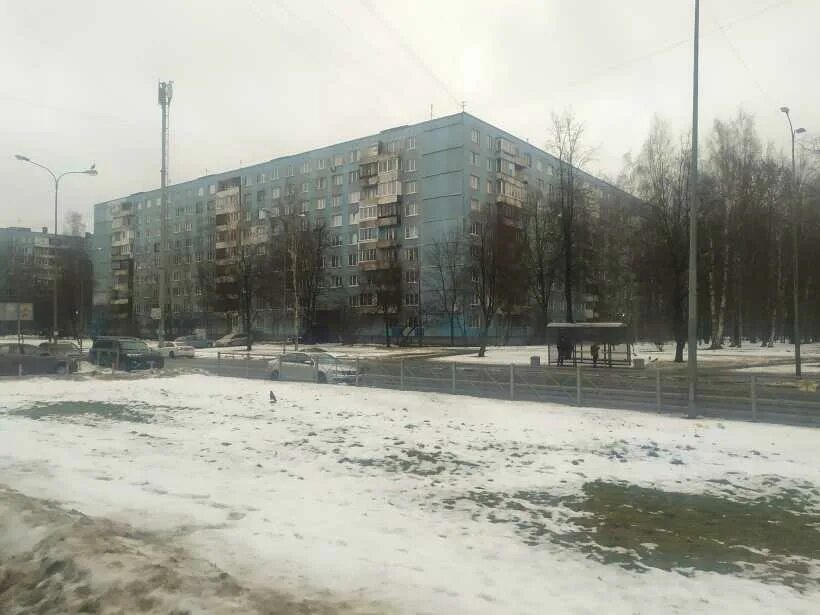 Купить квартиру /снять квартиру Невский район Санкт-Петербурга Искровский проспе