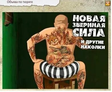 Я вытащу полину из тюряги текст
