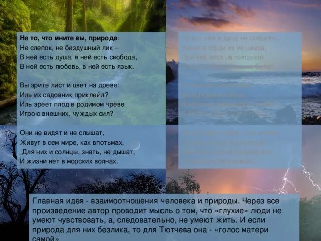 Не то что мните вы природа тютчев. Не то что мните вы природа тютчев