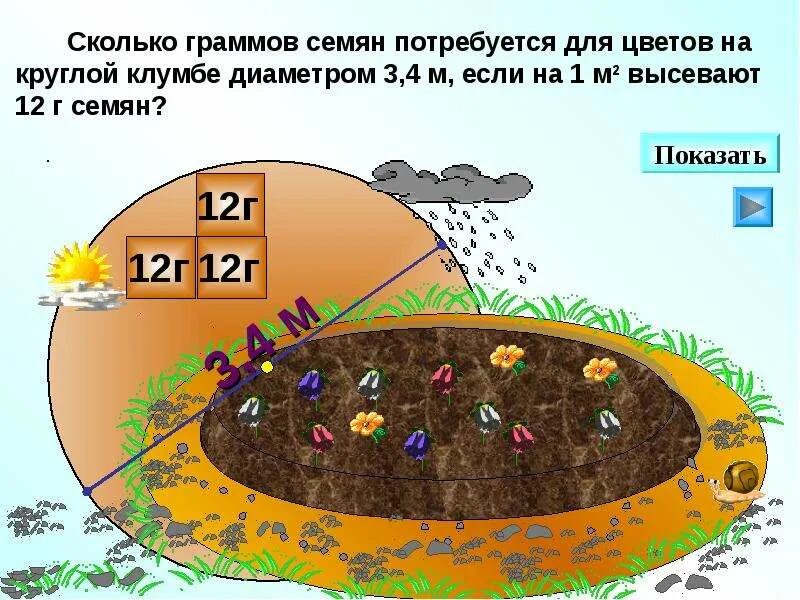 Задача цветочная клумба