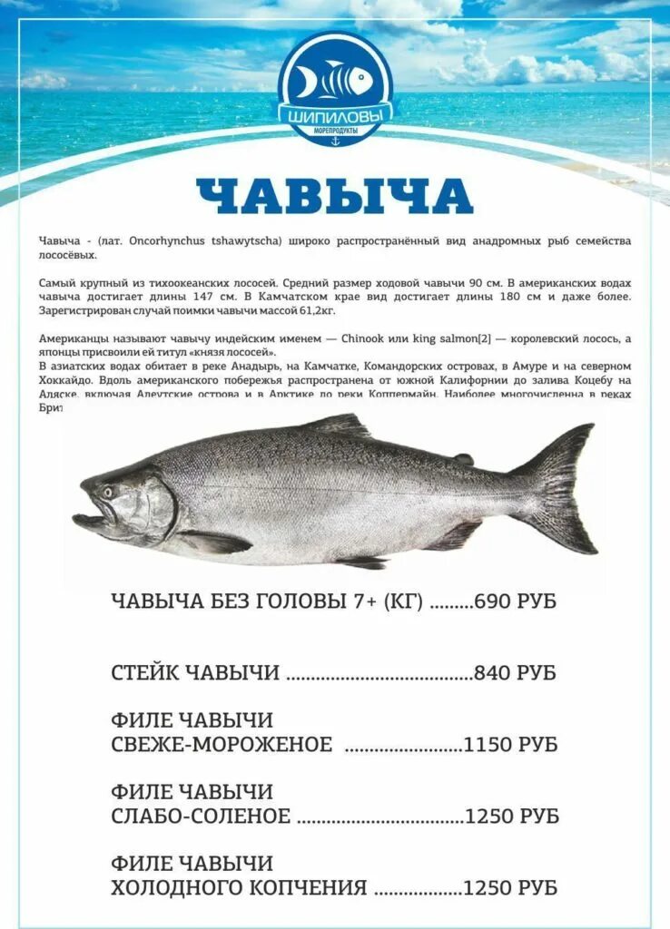 Рыба чавыча фото и описание цена