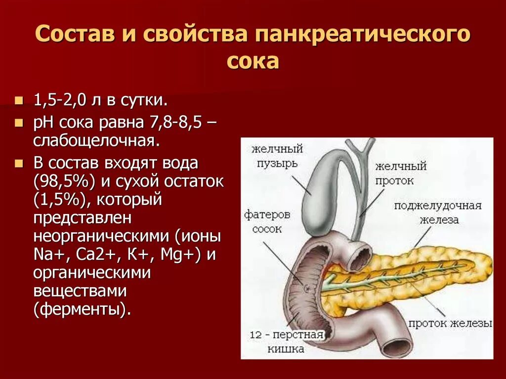 Желчь и панкреатический сок. Панкреатический сок физиология. Поджелудочная железа панкреатический сок. 1. Состав и свойства панкреатического сока.. Поджелудочный состав пищеварительного сока.