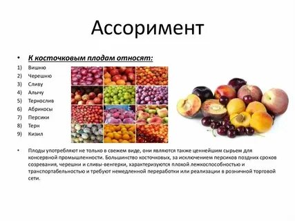 Оценка качества свежих овощей