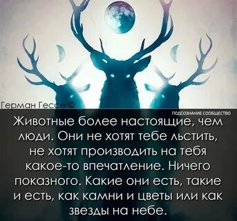 Живи естественно