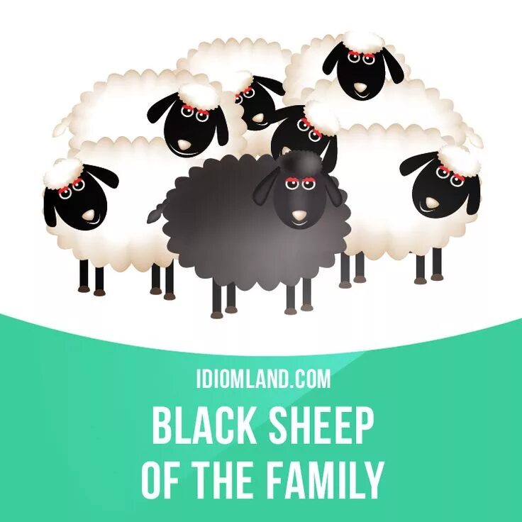 Черная поговорка. Black Sheep идиома. Black Sheep of the Family идиома. Black Sheep Black Sheep 1975. Черная овца идиома.