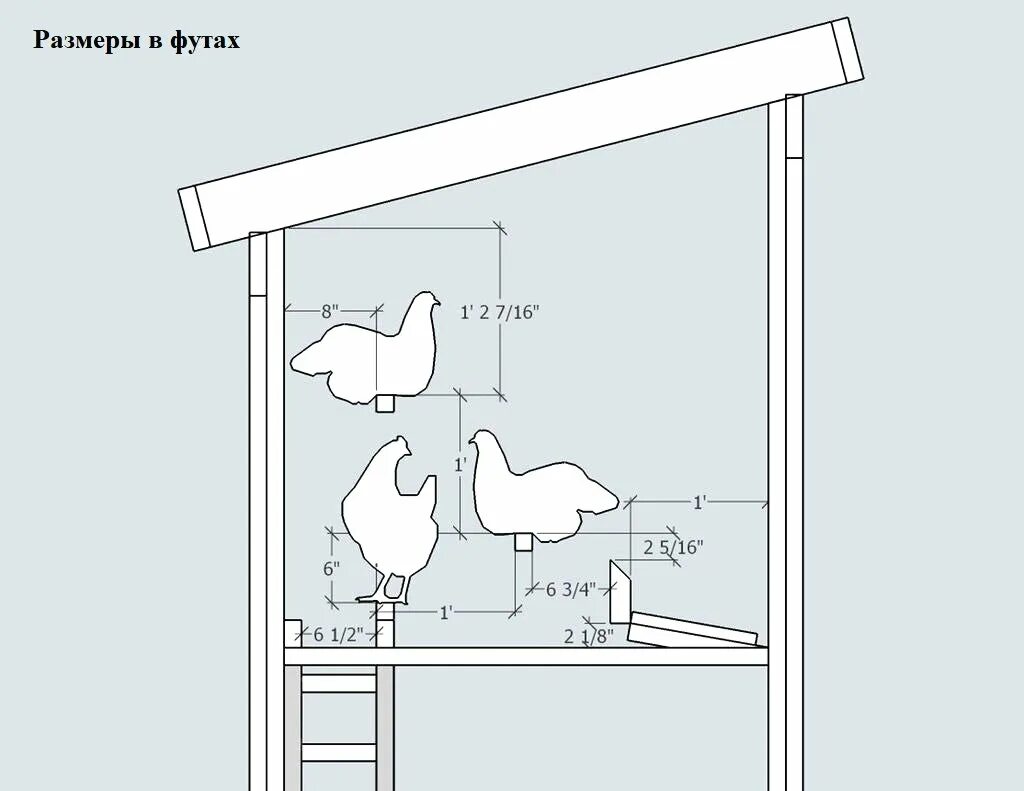 Размер курятника на 10 кур несушек. Курятник на 5 кур несушек чертеж. Насест для кур несушек чертежи. Курятник 5-10 кур несушек. Чертёж насеста для несушек.