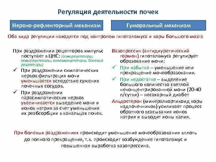 Нервная и гуморальная регуляция деятельности почек. Механизмы регуляции деятельности почек. Нервная регуляция деятельности почек. Регуляция функций почек клеточные гуморальные и нервные механизмы.