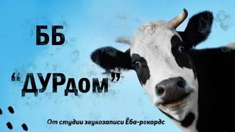 Дурдом