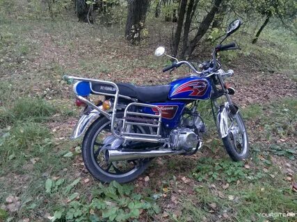Альфа 2010