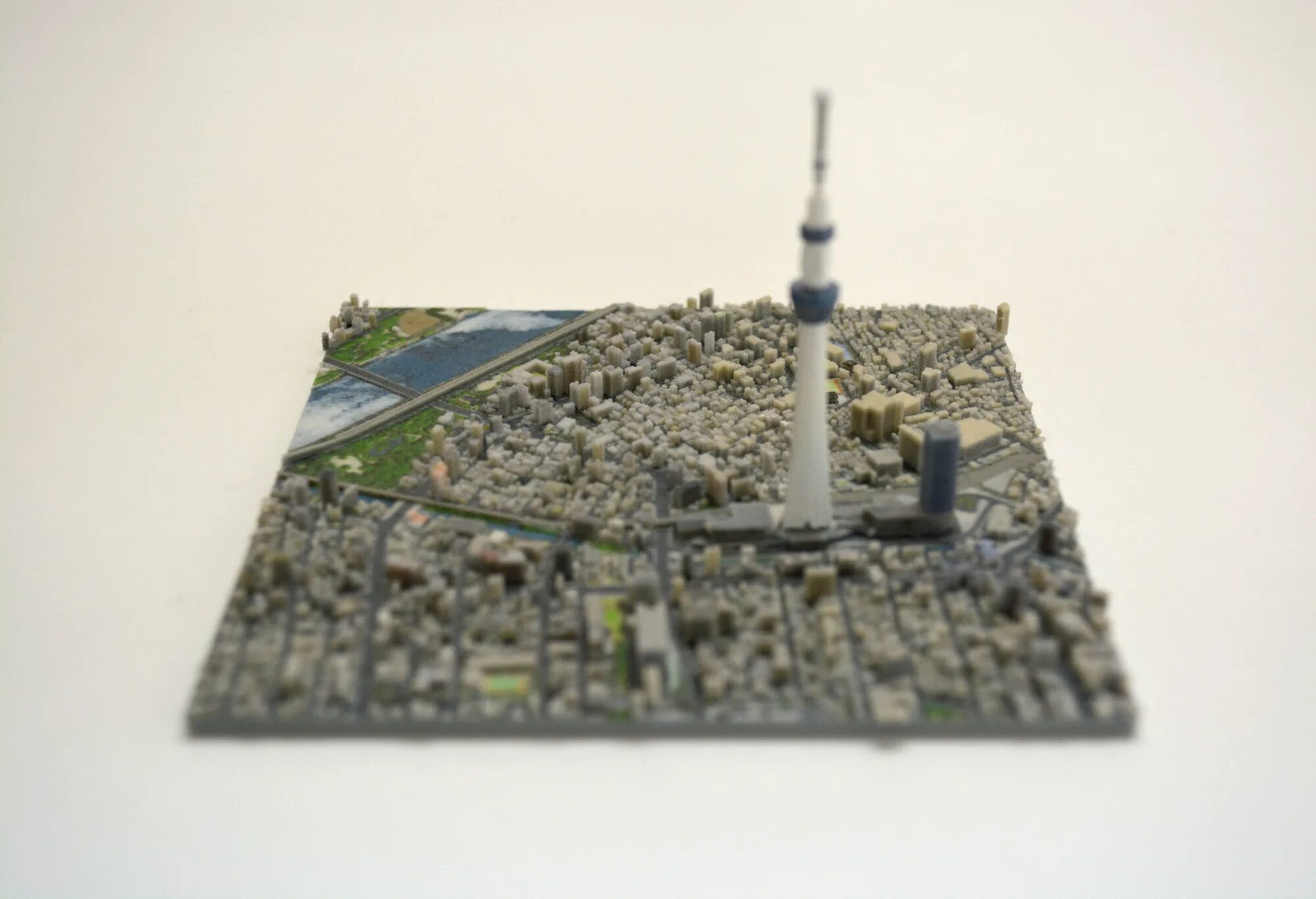 Tokyo model