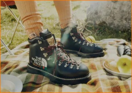 The north face коллаборация